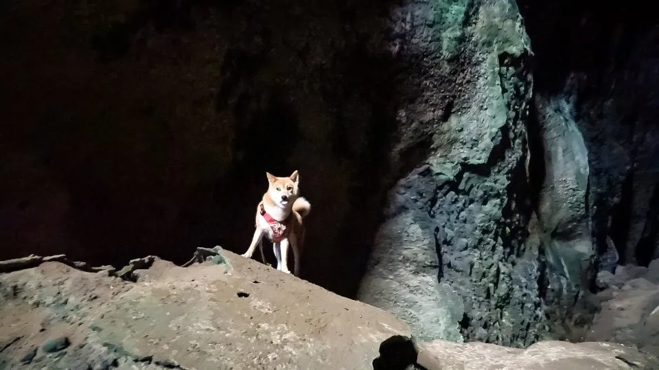 MAH00179.MP4_snapshot_00.18.001.jpg