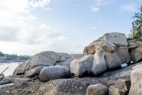 復興島據點 17 - Travel of Rice 小米遊記 DSC00163.jpg