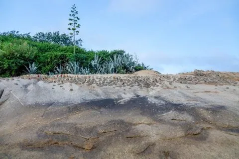 復興島據點 18 - Travel of Rice 小米遊記 DSC00168.jpg