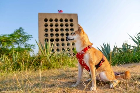 北山播音牆 14 - Travel of Rice 小米遊記