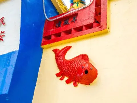 DSC05735.jpg