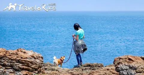 搜尋系統上的景點、寵物友善商家等資訊都是米媽一筆一筆的建立。