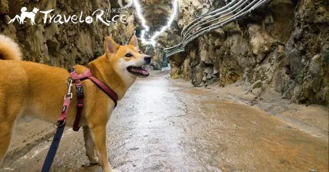 大漢據點／馬祖