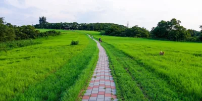 青青草原(新竹) 10 - Travel of Rice 小米遊記