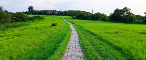 青青草原(新竹) 10 - Travel of Rice 小米遊記