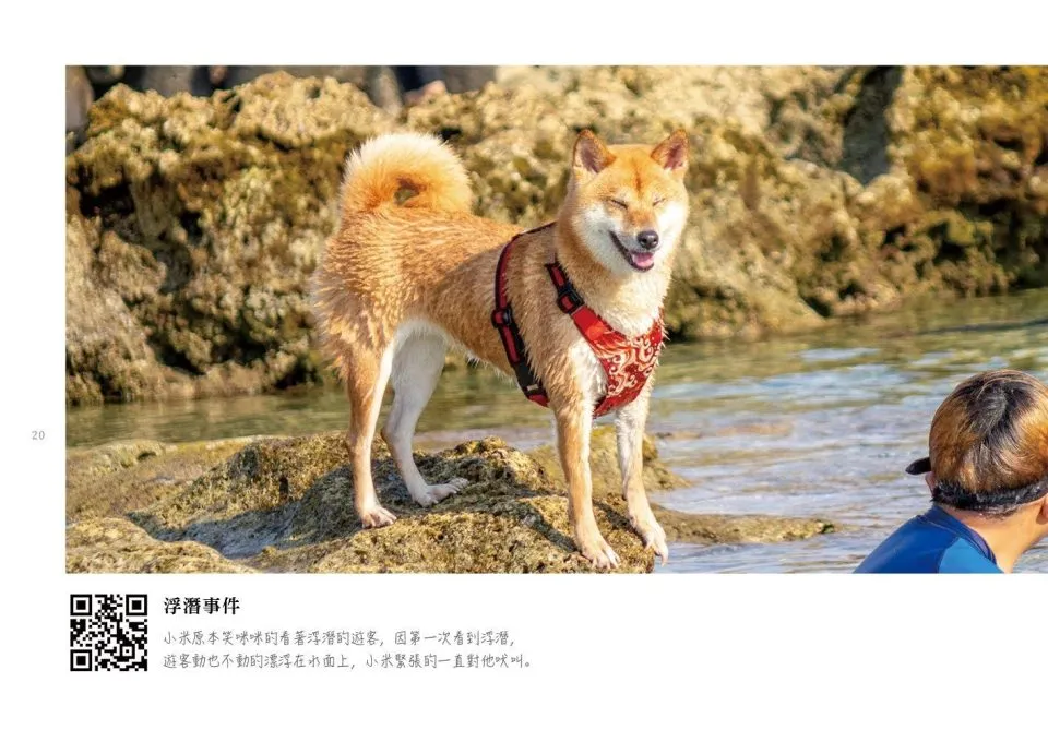 小米遊記：台灣外島篇 8 - Travel of Rice 小米遊記
