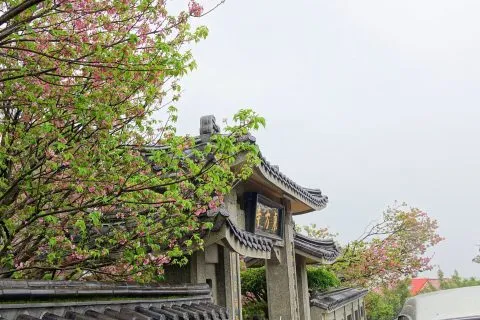 dsc00090-7