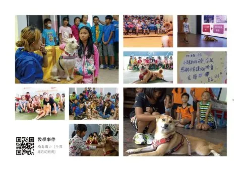 金門、綠島、蘭嶼上的小朋友們透過課程學習，如何與狗狗互動。也成功幫助了一些小朋友克服了對狗狗的恐懼。
