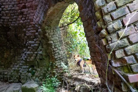 石灰窯 16 - Travel of Rice 小米遊記 dsc00060-6