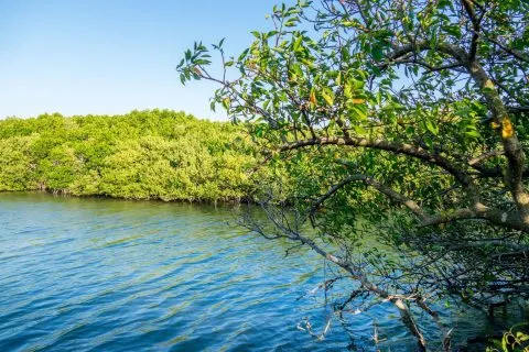 雙春濱海遊憩區 14 - Travel of Rice 小米遊記 dsc00197-5