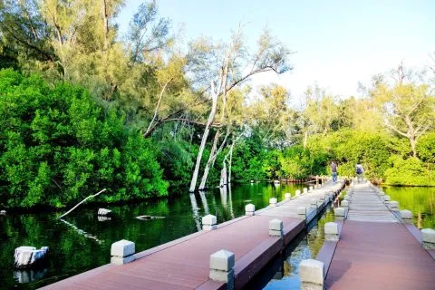 雙春濱海遊憩區 13 - Travel of Rice 小米遊記 dsc00254