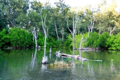 雙春濱海遊憩區 12 - Travel of Rice 小米遊記 dsc00255