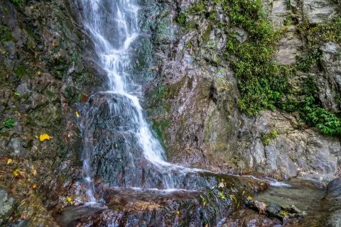 dsc08198