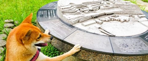 石底大斜坑 11 - Travel of Rice 小米遊記