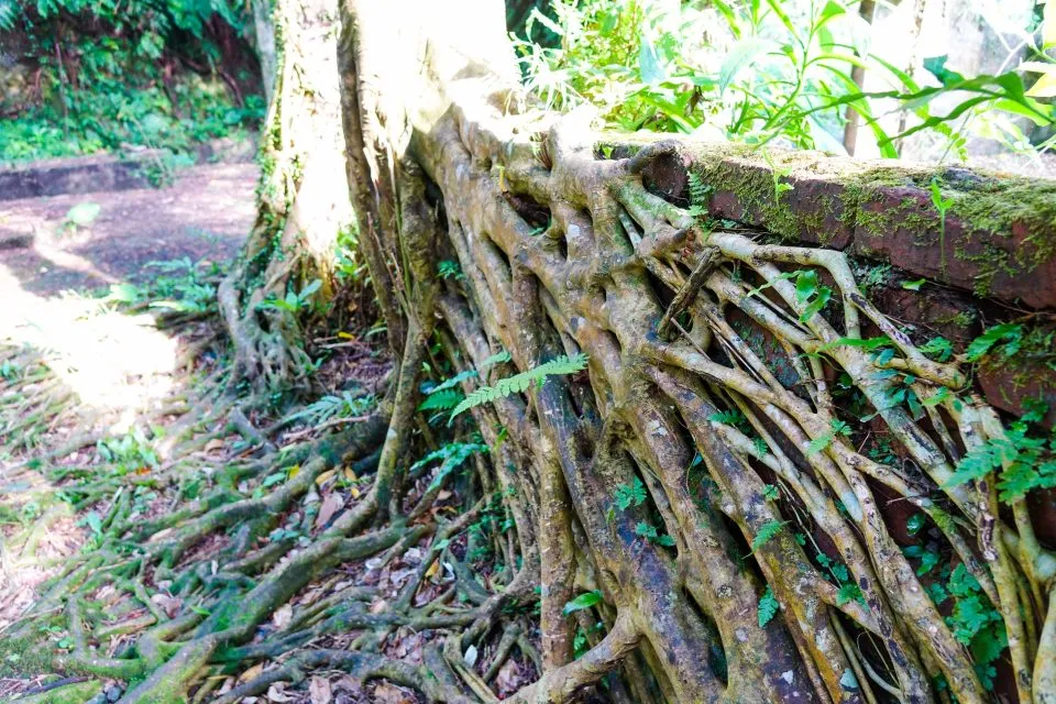 石底大斜坑 18 - Travel of Rice 小米遊記