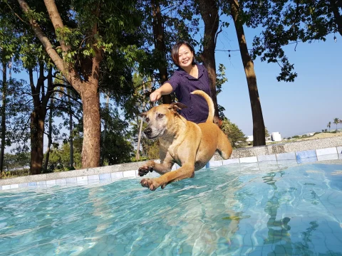 巴吉划水寵物泳池 Paddle Dog Café 32 - Travel of Rice 小米遊記 巴吉划水寵物泳池 Paddle Dog Café 32 - Travel of Rice 小米遊記
