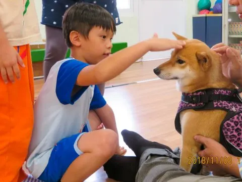 德南國小附設幼兒園/台南仁德 25 - Travel of Rice 小米遊記 德南國小附設幼兒園/台南仁德 25 - Travel of Rice 小米遊記