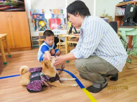 德南國小附設幼兒園/台南仁德 29 - Travel of Rice 小米遊記 德南國小附設幼兒園/台南仁德 29 - Travel of Rice 小米遊記