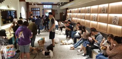 稻邸 D. House 22 - Travel of Rice 小米遊記