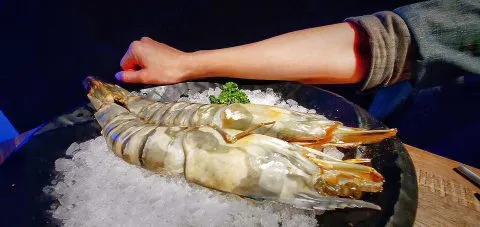 開烤Bar 29 - Travel of Rice 小米遊記