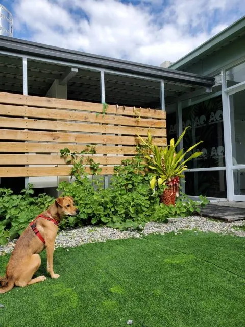 OA Restaurant複合式餐廳 35 - Travel of Rice 小米遊記