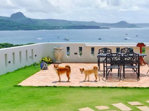 小徑民宿(後壁湖海景館place de L) 32 - Travel of Rice 小米遊記 小徑民宿(後壁湖海景館place de L) 32 - Travel of Rice 小米遊記