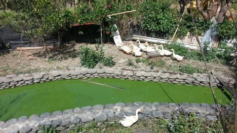 玉蟾園民宿YuChanYuan 8 - Travel of Rice 小米遊記