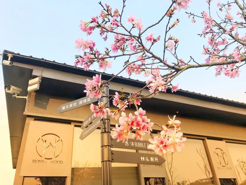 HoneyWood Cafe 40 - Travel of Rice 小米遊記