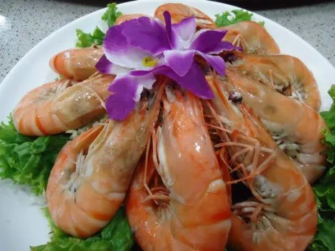 川菜水餃之家 26 - Travel of Rice 小米遊記