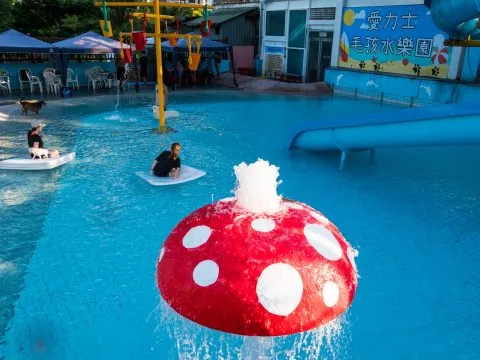 Ares愛力士毛孩水樂園 23 - Travel of Rice 小米遊記