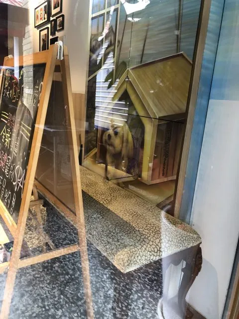 稻邸 D. House 29 - Travel of Rice 小米遊記