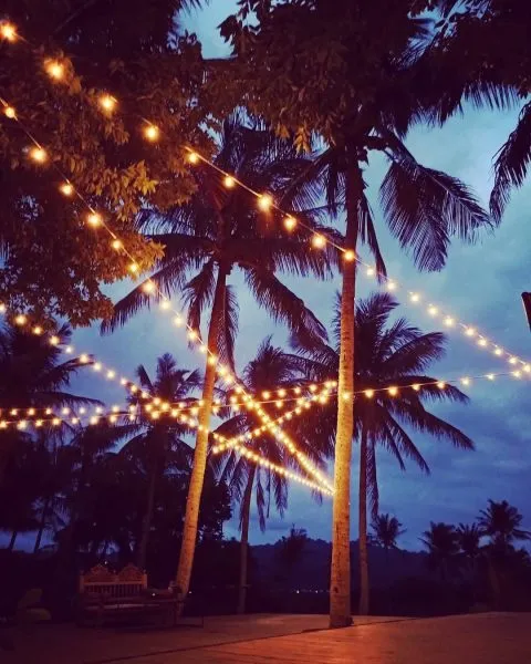 台東天晴民宿 39 - Travel of Rice 小米遊記 台東天晴民宿 37 - Travel of Rice 小米遊記