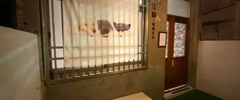 汪腳·雨都毛孩寵物餐廳 50 - Travel of Rice 小米遊記