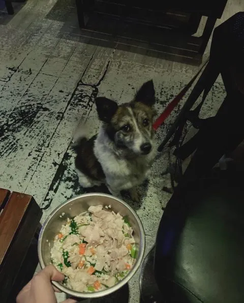 庫克燒烤Bar 64 - Travel of Rice 小米遊記