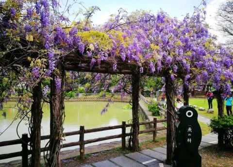 大湖紀念公園 31 - Travel of Rice 小米遊記