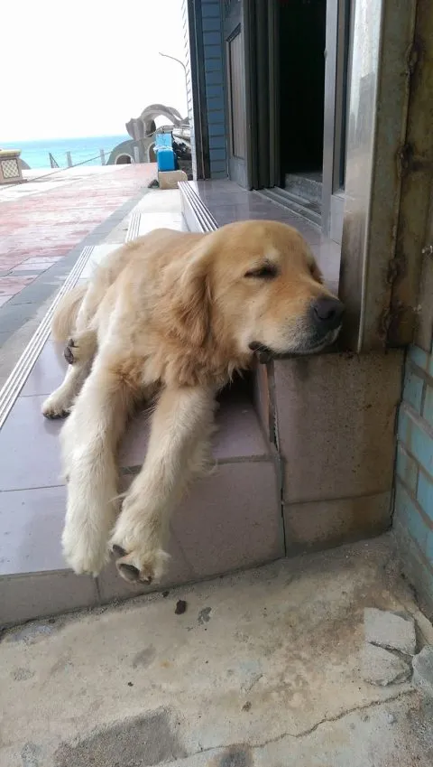 致仙屋民宿 24 - Travel of Rice 小米遊記