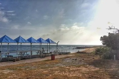 致仙屋民宿 36 - Travel of Rice 小米遊記