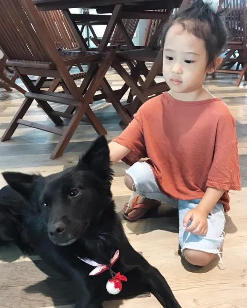 蒔裳秝景 44 - Travel of Rice 小米遊記