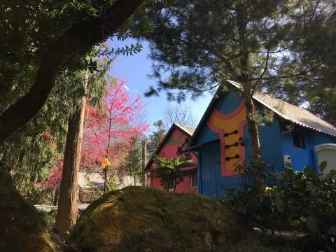 溪頭聽濤園渡假山莊 18 - Travel of Rice 小米遊記
