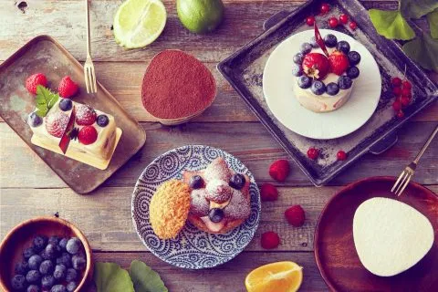 JAI宅 24 - Travel of Rice 小米遊記