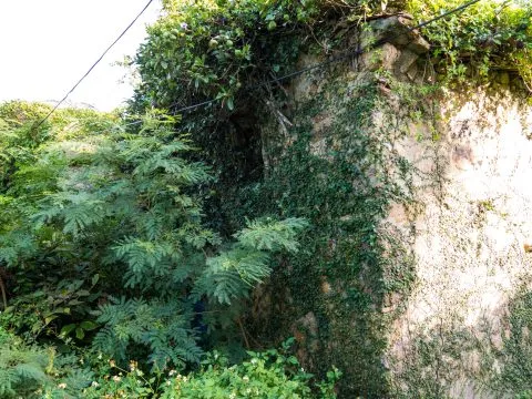 津沙聚落 19 - Travel of Rice 小米遊記