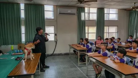安慶國小／台南安南 26 - Travel of Rice 小米遊記