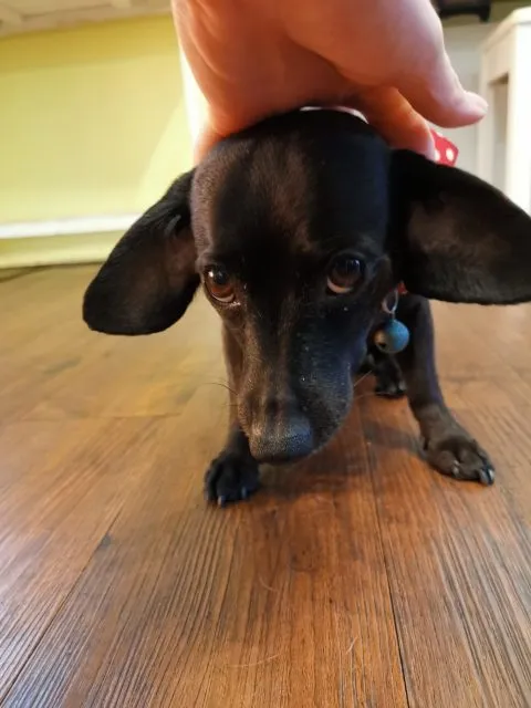 薇甜 Livia's kitchen 45 - Travel of Rice 小米遊記 薇甜 Livia's kitchen 44 - Travel of Rice 小米遊記