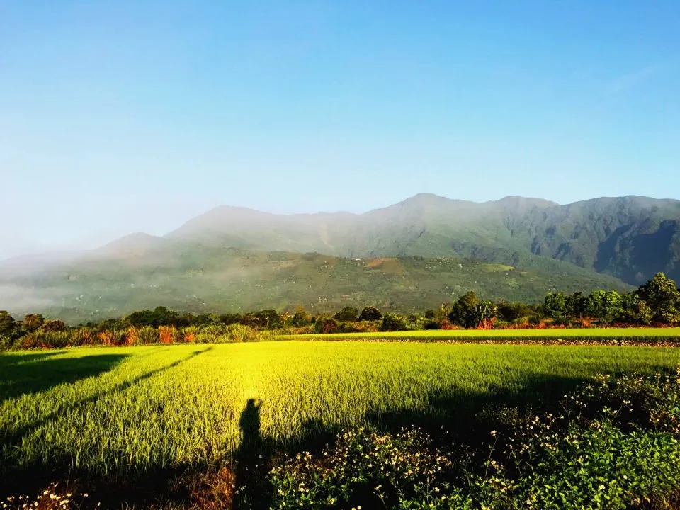 毛球公爵寵物民宿 55 - Travel of Rice 小米遊記