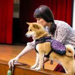 集美國小/新北三重 47 - Travel of Rice 小米遊記 集美國小/新北三重 46 - Travel of Rice 小米遊記