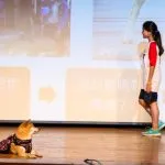 集美國小/新北三重 48 - Travel of Rice 小米遊記 集美國小/新北三重 47 - Travel of Rice 小米遊記