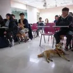 中國文化大學/台北士林 19 - Travel of Rice 小米遊記 中國文化大學/台北士林 19 - Travel of Rice 小米遊記