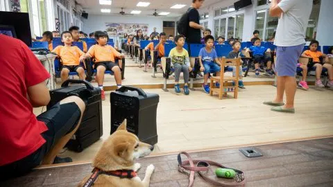 椰油國小／台東蘭嶼 13 - Travel of Rice 小米遊記