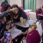 中國文化大學/台北士林 23 - Travel of Rice 小米遊記 中國文化大學/台北士林 23 - Travel of Rice 小米遊記