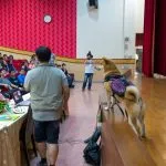 集美國小/新北三重 53 - Travel of Rice 小米遊記 集美國小/新北三重 52 - Travel of Rice 小米遊記